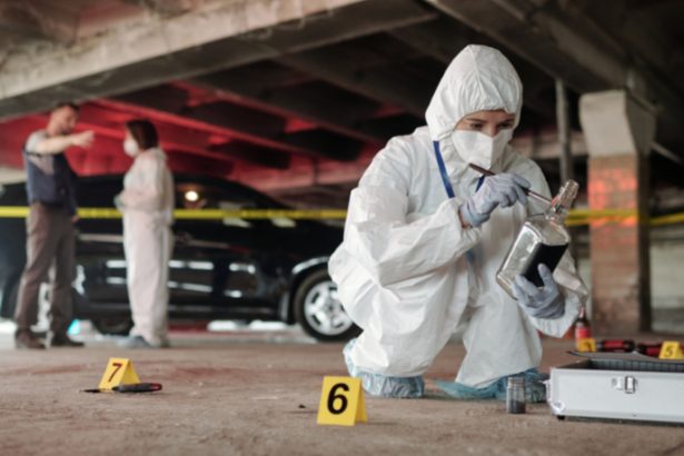 Eloy de Lacerda Ferreira