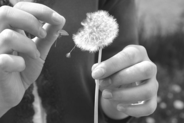 Mauricio Dutra dono da Limex