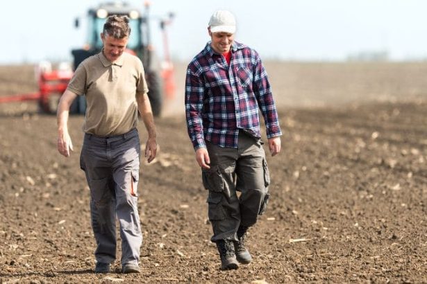 Agenor Vicente Pelissa