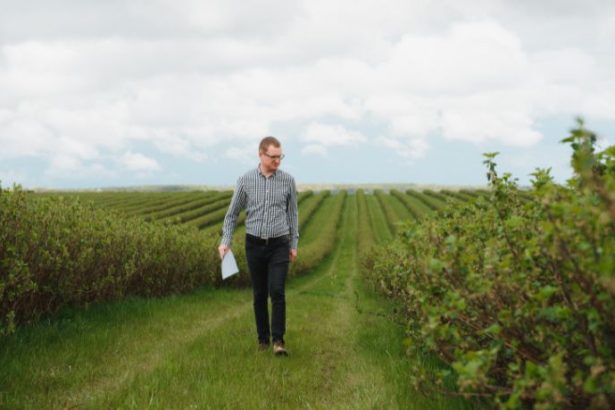 Carlos Eduardo Moraes Nunes