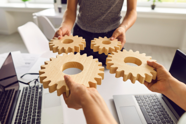 Braulio Henrique Dias Viana destaca que uma cultura forte, alinhada à liderança, é chave para equipes de alta performance.