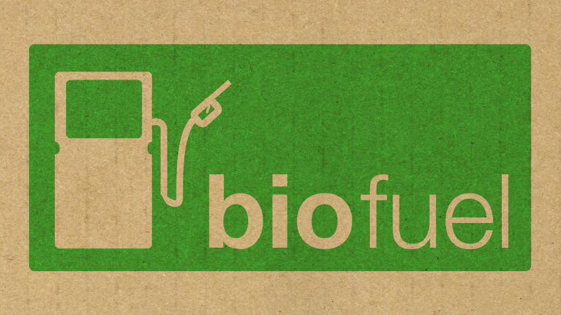 O avanço dos biocombustíveis traz oportunidades ao Brasil rural, como destaca Fernando Trabach Filho, ao explorar seus efeitos fiscais e produtivos.