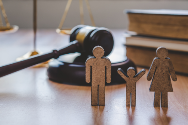 Direito de família em foco: com Bruno Garcia Redondo, descubra os principais temas que impactam a vida das famílias.