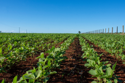 Gestão financeira no campo exige controle e planejamento para garantir sustentabilidade e crescimento, como reforça João Eustáquio De Almeida Junior, no dia a dia das propriedades rurais.
