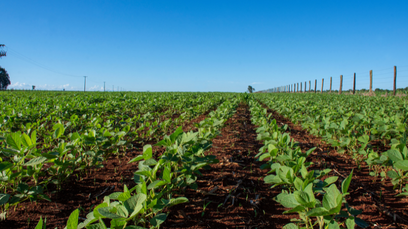 Gestão financeira no campo exige controle e planejamento para garantir sustentabilidade e crescimento, como reforça João Eustáquio De Almeida Junior, no dia a dia das propriedades rurais.